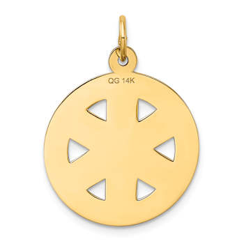 14k Yellow Gold Medium PARAMEDIC Medical Pendant