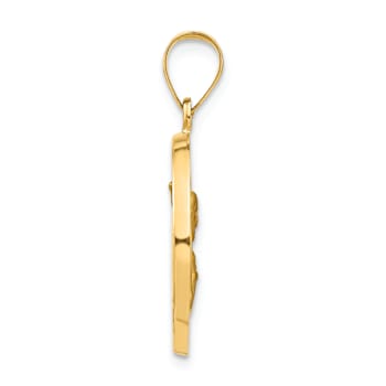 14k Yellow Gold Satin and Textured Queen of The Holy Scapular Reversible
Medal Pendant