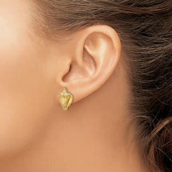 14k Yellow Gold Textured Conch Shell Stud Earrings