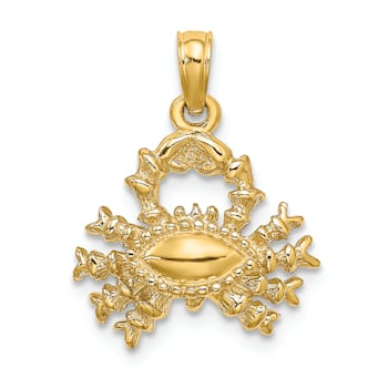 14k Yellow Gold 3D Textured Cancer Zodiac pendant