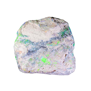 Multicolor Opalised Plant Fossil Free Form