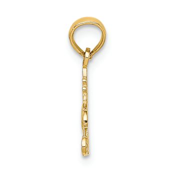 14k Yellow Gold Textured Number 1 Princess Charm