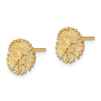 14k Yellow Gold Textured Sand Dollar Stud Earrings