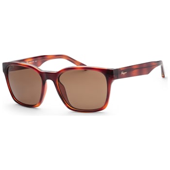 Ferragamo Women's Fashion 55mm Tortoise Sunglasses | SF959S-5518214
