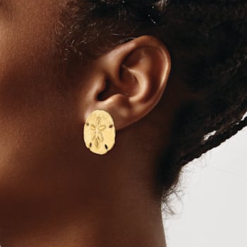14k Yellow Gold Polished and Textured Sand Dollar Stud Earrings