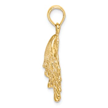 14k Yellow Gold Textured Lions Paw Shell Pendant