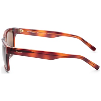 Ferragamo Women's Fashion 55mm Tortoise Sunglasses | SF959S-5518214