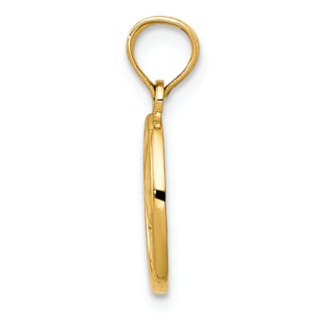 14k Yellow Gold Polished and Textured Small Fleur-De-Lis in Oval Pendant