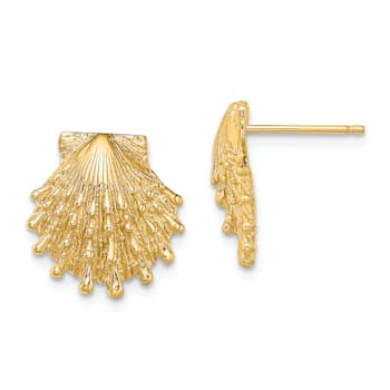 14k Yellow Gold Textured Lion's Paw Shell Stud Earrings