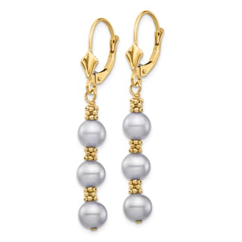 14K Yellow Gold 5-6mm Grey Semi-round Freshwater Cultured Pearl
Leverback Earrings