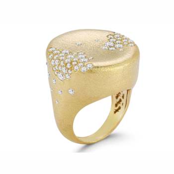 Sterling Statements 14K Yellow Gold Over Sterling Silver Cubic Zirconia
Statement Satin Signet Ring