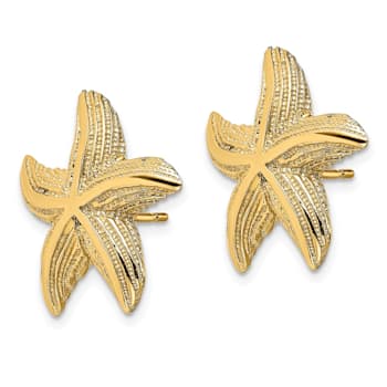 14k Yellow Gold Textured Starfish Stud Earrings
