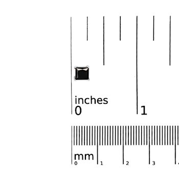 14K White Gold 2.00 Cttw Princess-Cut Treated Black Diamond Stud
Earrings with Screw Backs