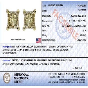 IGI Certified 14k Yellow Gold 1/2 cttw Princess-Cut Solitaire Diamond
Push Back Stud Earrings