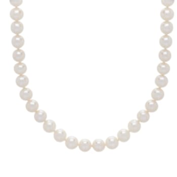14K Yellow Gold One Row Fresh Water Pearl Necklace
