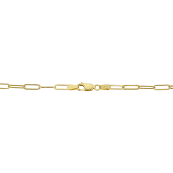 14k Yellow Gold 3.2 mm Polished Paperclip Chain Necklace (24 inches)