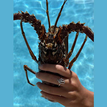 Sterling Silver Lobster Ring with Blue CZ Accents.