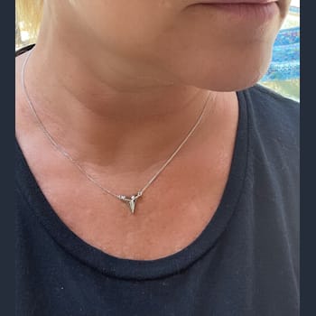 Sterling Silver Shark's Tooth Necklace with Rolo Chain and Blue CZ Accent.
