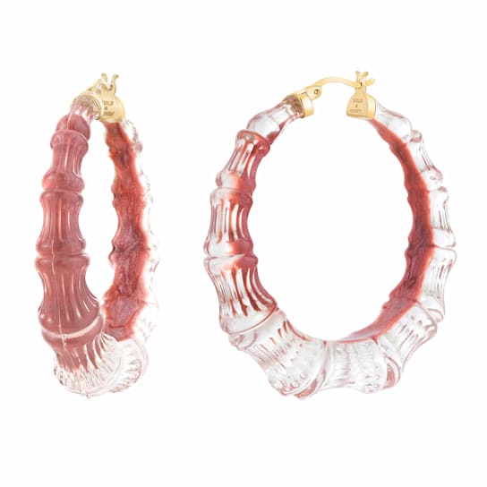 Lucite and Hand Painted Enamel Bamboo Illusion Hoop Earrings