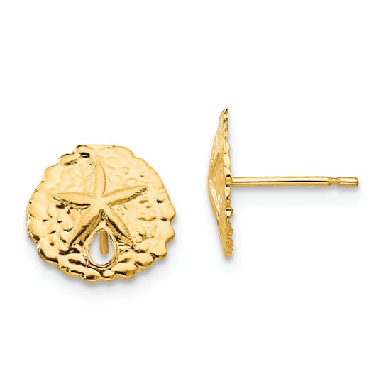 Sand Dollar Stud Earrings In 14K Gold