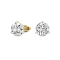2 Ct 14K Gold IGI Certified Lab Grown Round Shape 6 Prong Diamond Stud
Earrings Friendly Diamonds