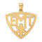 14k Yellow Gold Emergency Medical Technician Pendant