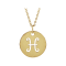 14K Yellow Gold Pisces Zodiac Disc Pendant With Chain