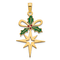 14k Yellow Gold Polished Epoxy Holly and North Star Pendant