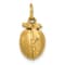14k Yellow Gold Satin Peach Charm Pendant