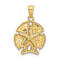 10K Yellow Gold 2D Textured Sand Dollar with Star Charm