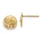 14k Yellow Gold Textured 8.44mm Sand Dollar Stud Earrings