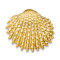 14k Yellow Gold Textured Scallop Shell Slide Pendant