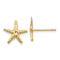 14k Yellow Gold 11mm Textured Starfish Stud Earrings