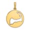 14k Yellow Gold Polished Cut-Out CAPE COD Map Charm
