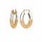 14K Yellow Gold Over Sterling Silver Flat Oval Hoops in Gold Color
Glitter and Clear