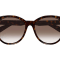 Gucci Havana Brown Frame / Brown Gradient Lens Sunglasses
