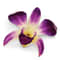 Lacquer Dipped Purple and White Dendrobium Orchid Pin Brooch