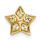 14k Yellow Gold Yellow Sapphire Star Chain Slide Pendant