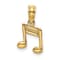14k Yellow Gold 3D Textured Double Notes pendant