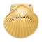14k Yellow Gold Textured Fits Up To 8mm and 10mm Medium Scallop Shell
Slide Pendant