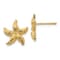 14k Yellow Gold Textured Starfish Stud Earrings