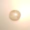Yellow Star Sapphire Loose Gemstone 14.0x12.5mm Oval 12.84ct
