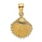 14k Yellow Gold Textured Scallop Shell Charm