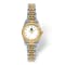 LogoArt Michigan State University Pro Two-tone Ladies Watch