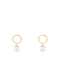 White Cultured Freshwater Pearl 14k Yellow Gold Earrings 7-7.5mm