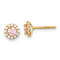 14k Yellow Gold Polished 5.35mm Pink and Clear Cubic Zirconia Stud Earrings