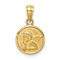 14k Yellow Gold Satin Angel Coin Charm