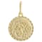 Leo Zodiac Medallion Pendant In Solid 14K Yellow Gold