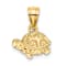 10K Yellow Gold Textured Flat Mini Turtle Charm
