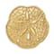 14k Yellow Gold Polished and Textured Sand Dollar Slide Pendant
